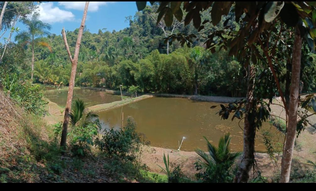 OPORTUNIDAD  DE INVERSION TARAPOTO-SAUCE-5