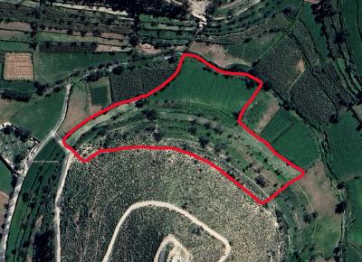 Vendo Terreno agricola 15550m2 en el distrito de quequeña a 300m de la plaza principal, ideal para negocio, recreo, cultivo, casa de campo