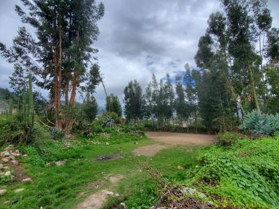 VENTA DE TERRENO URBANO- HUARAZ