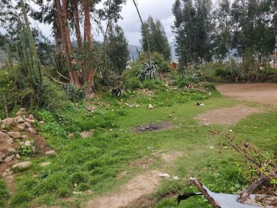 VENTA DE TERRENO URBANO- HUARAZ