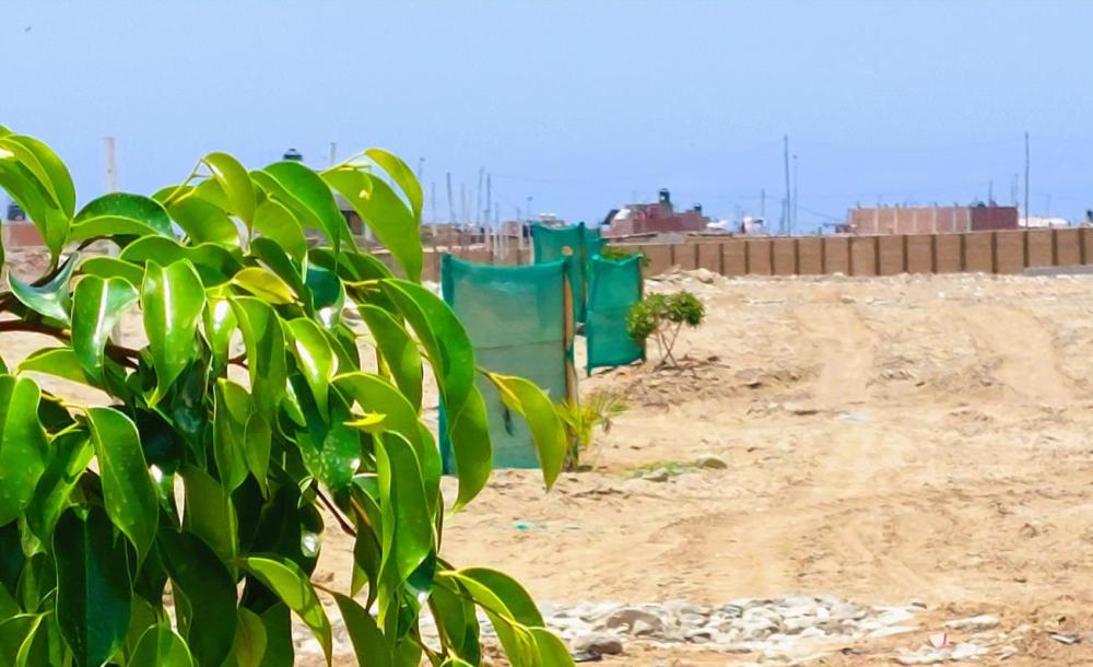 OCASIÓN TERRENO EN VENTA HUANCHACO DESDE 1000 m²-4