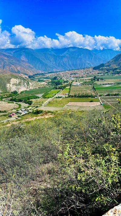 VENTA DE LOTES PARA CASAS DE CAMPO-CARAZ