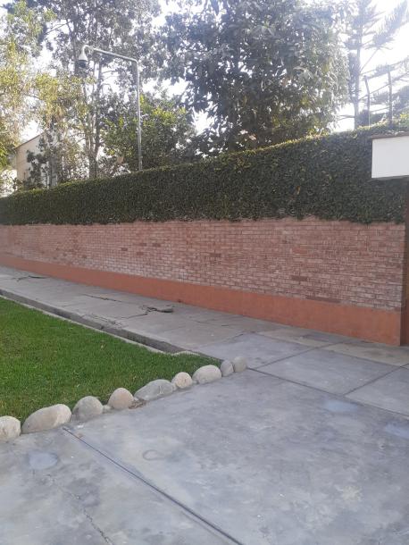 Vendo Casa en Av. Los Cedros cuadra 14 - Chaclacayo-1