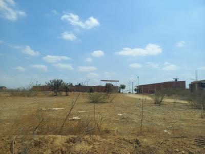 Vendo Terreno 360 m² en ADUS Sullana – 18 m de frente salida directa a la Panamericana