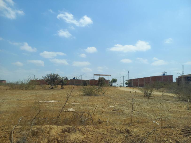 Vendo Terreno 360 m² en ADUS Sullana – 18 m de frente salida directa a la Panamericana-0